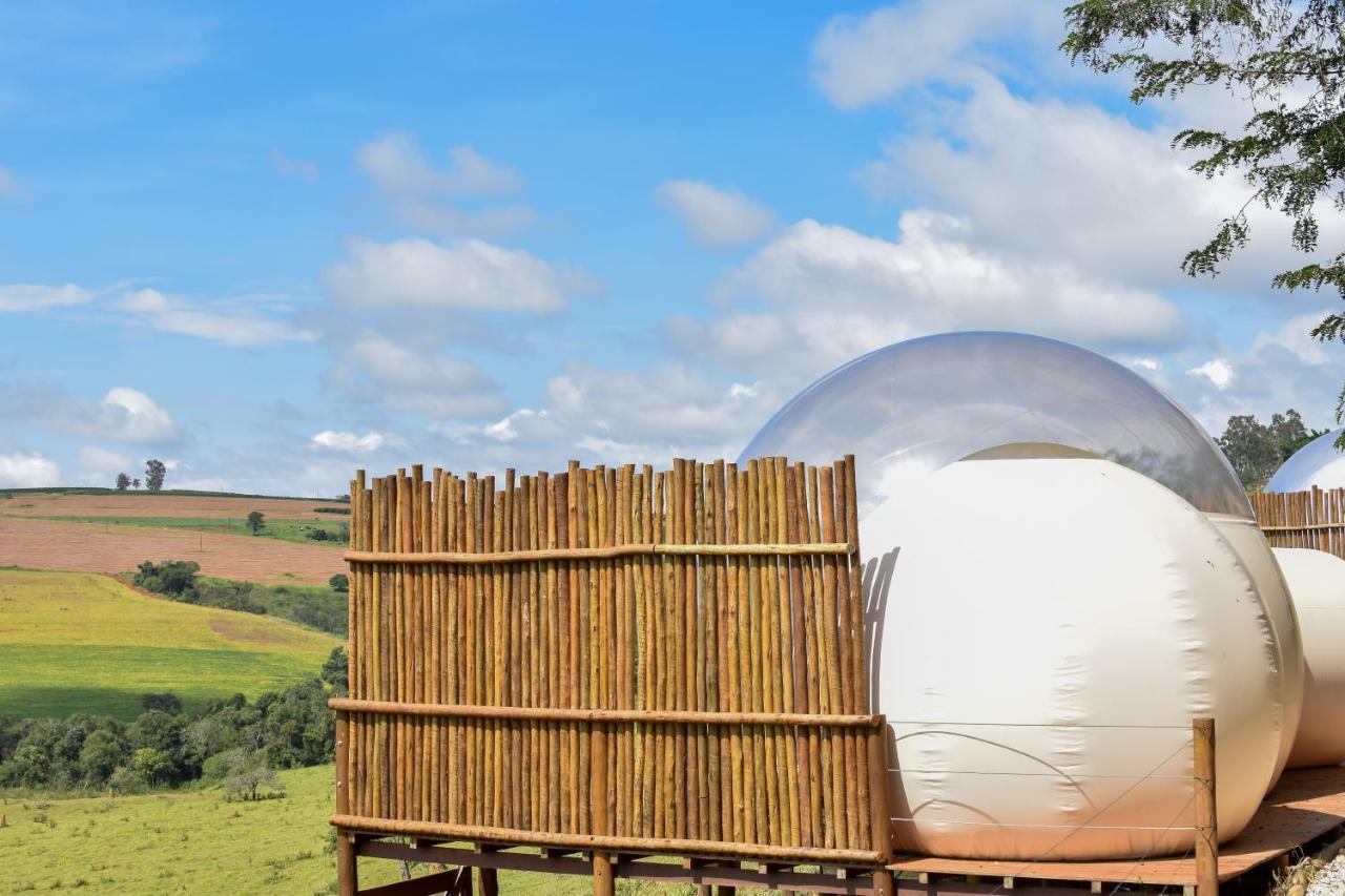Bubble Pingo Do Mula Serra Da Canastra Sao Roque de Minas ภายนอก รูปภาพ