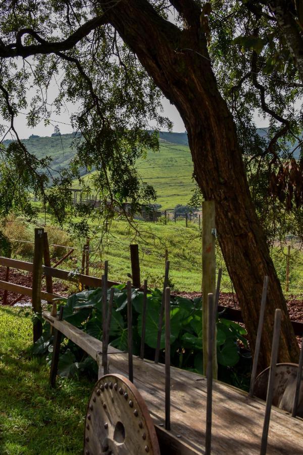 Bubble Pingo Do Mula Serra Da Canastra Sao Roque de Minas ภายนอก รูปภาพ